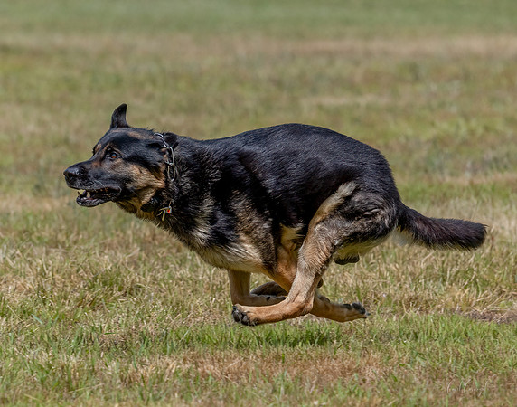 _E9A6503-Edit
