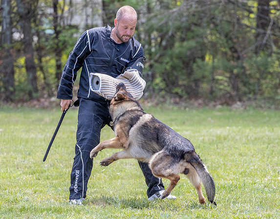 BZ1I0701