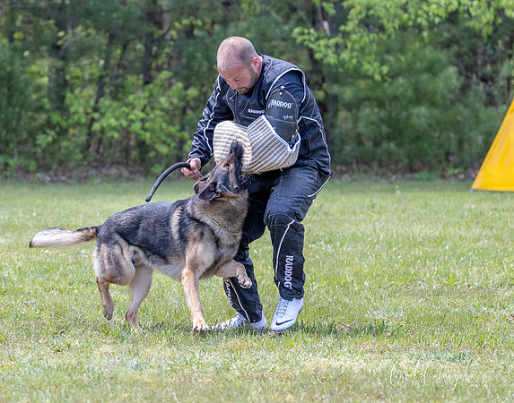 BZ1I0808