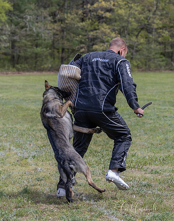 BZ1I1857