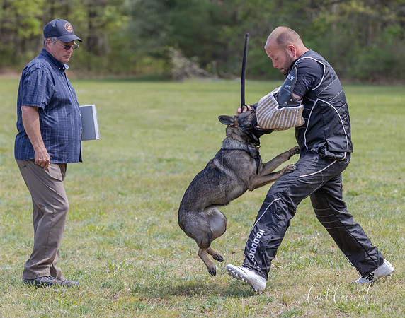 BZ1I1927
