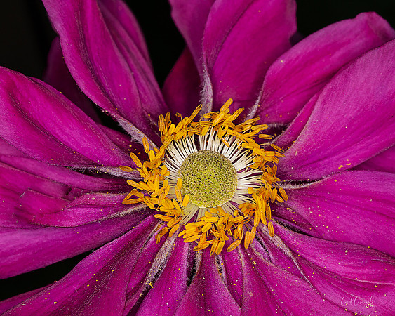 _47W5463-Edit