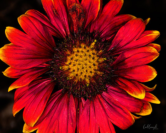 _47W5473-Edit