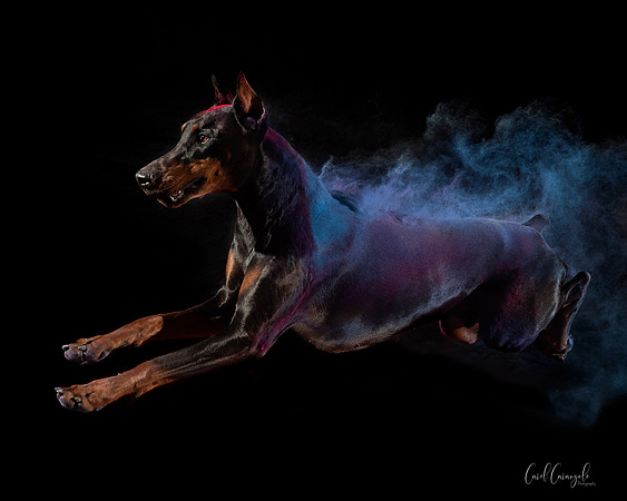 _80I1250-Edit1-3