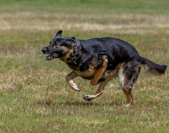 _E9A6495-Edit