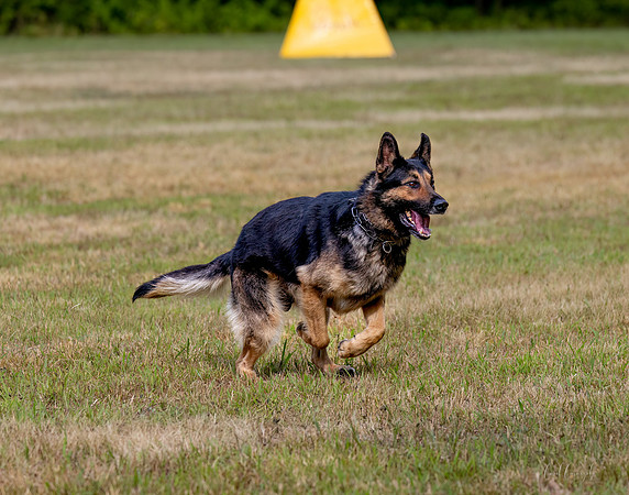 _E9A7783-Edit