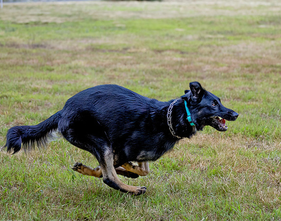 _E9A8405-Edit
