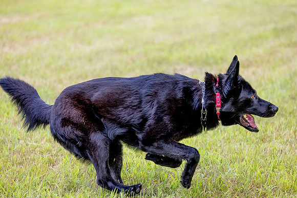 _E9A8606-Edit